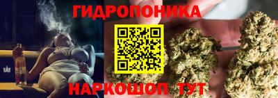 герыч Кингисепп