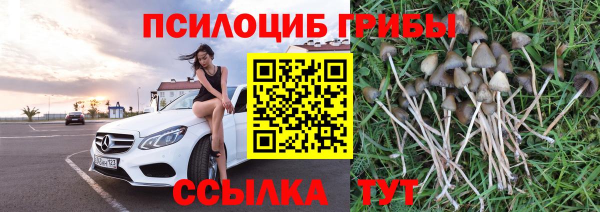 Галлюциногенные грибы мухоморы Краснодар