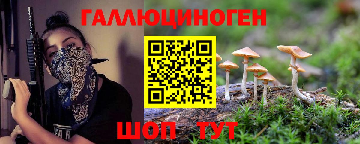 Краснодар  Галлюциногенные грибы Magic Shrooms  даркнет сайт  Вход с VPN 