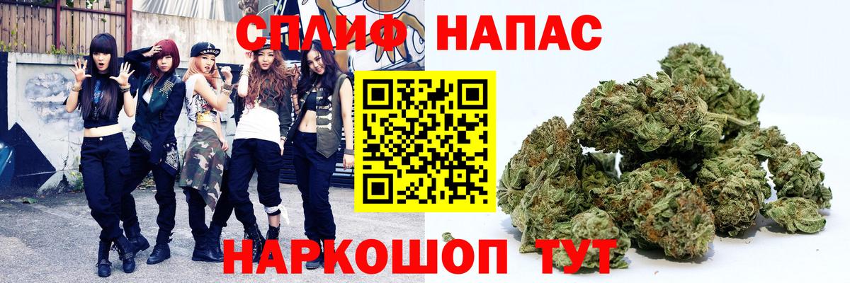 Бошки марихуана сатива Краснодар